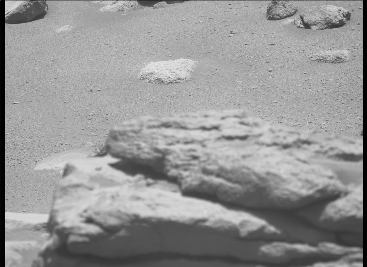 This image was taken by MCZ_LEFT onboard NASA's Mars rover Perseverance on Sol 169