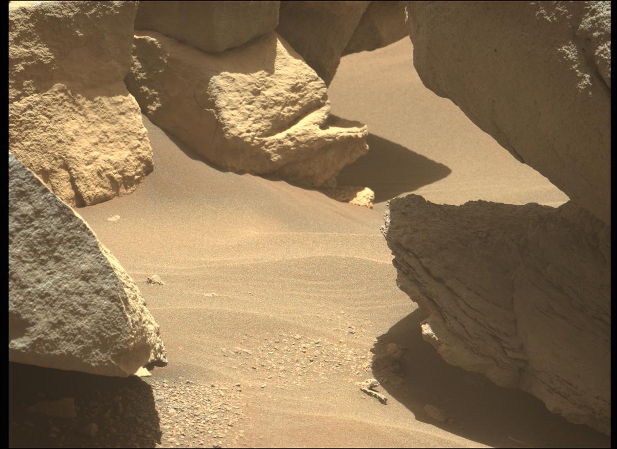 This image was taken by MCZ_LEFT onboard NASA's Mars rover Perseverance on Sol 169
