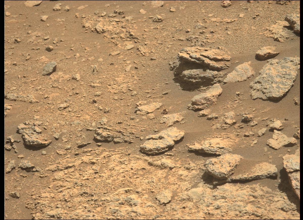 This image was taken by MCZ_LEFT onboard NASA's Mars rover Perseverance on Sol 169