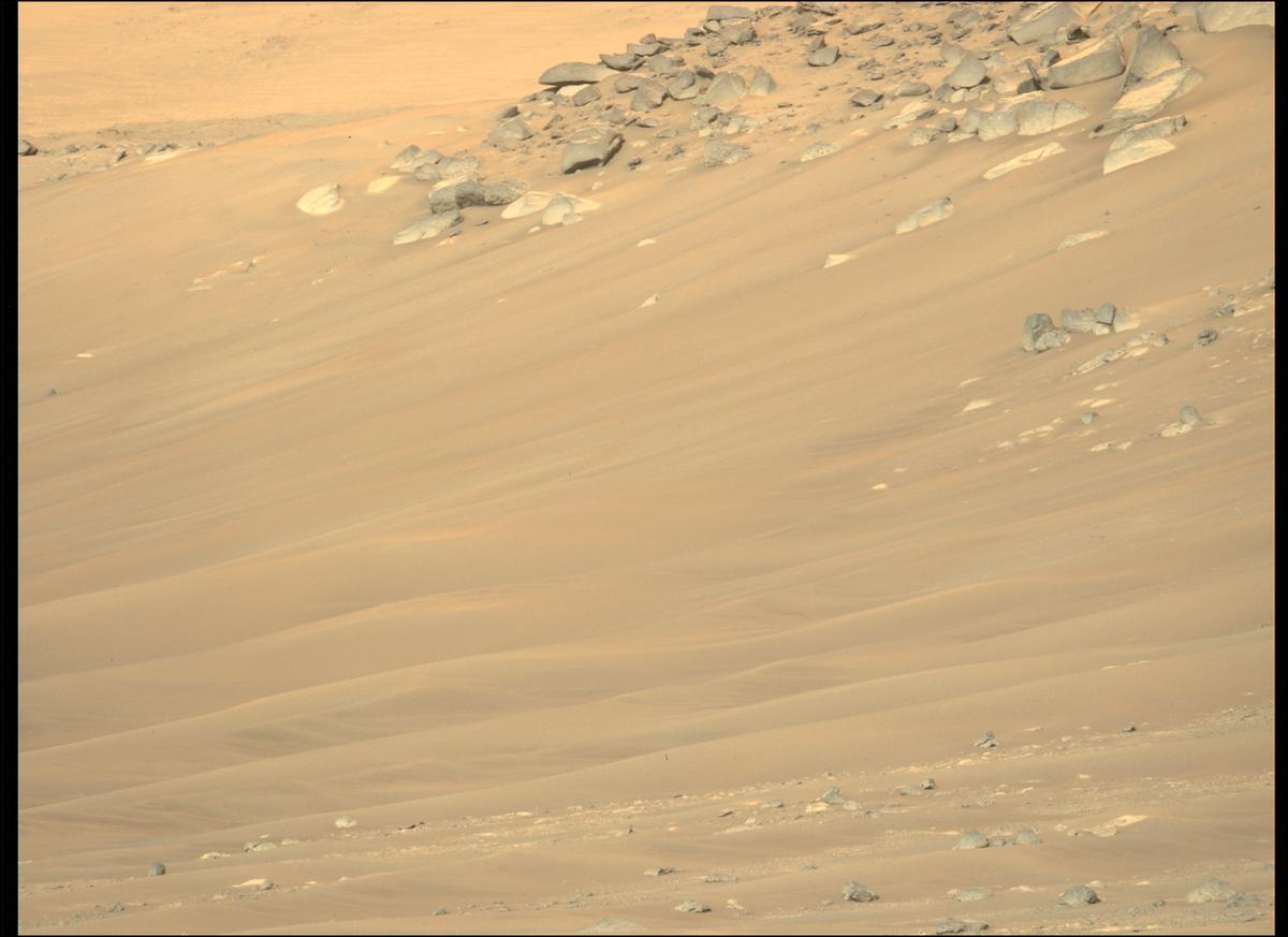 This image was taken by MCZ_LEFT onboard NASA's Mars rover Perseverance on Sol 170