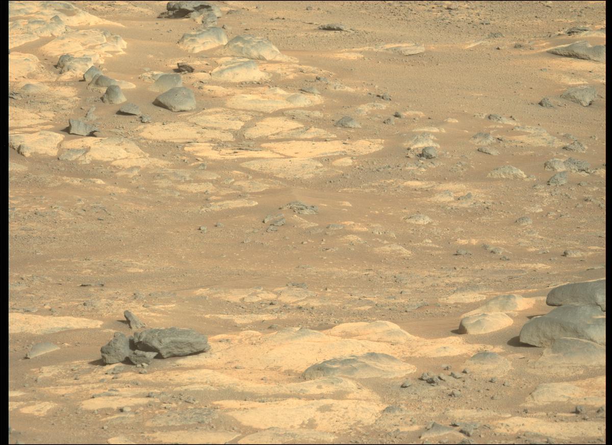 This image was taken by MCZ_LEFT onboard NASA's Mars rover Perseverance on Sol 170