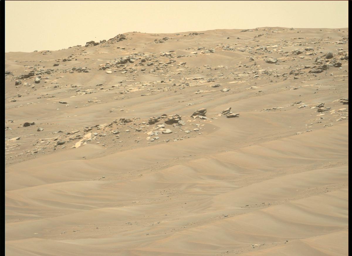 This image was taken by MCZ_LEFT onboard NASA's Mars rover Perseverance on Sol 171