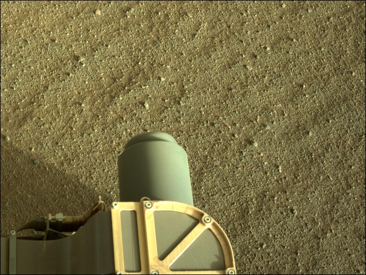 This image was taken by NAVCAM_LEFT onboard NASA's Mars rover Perseverance on Sol 173