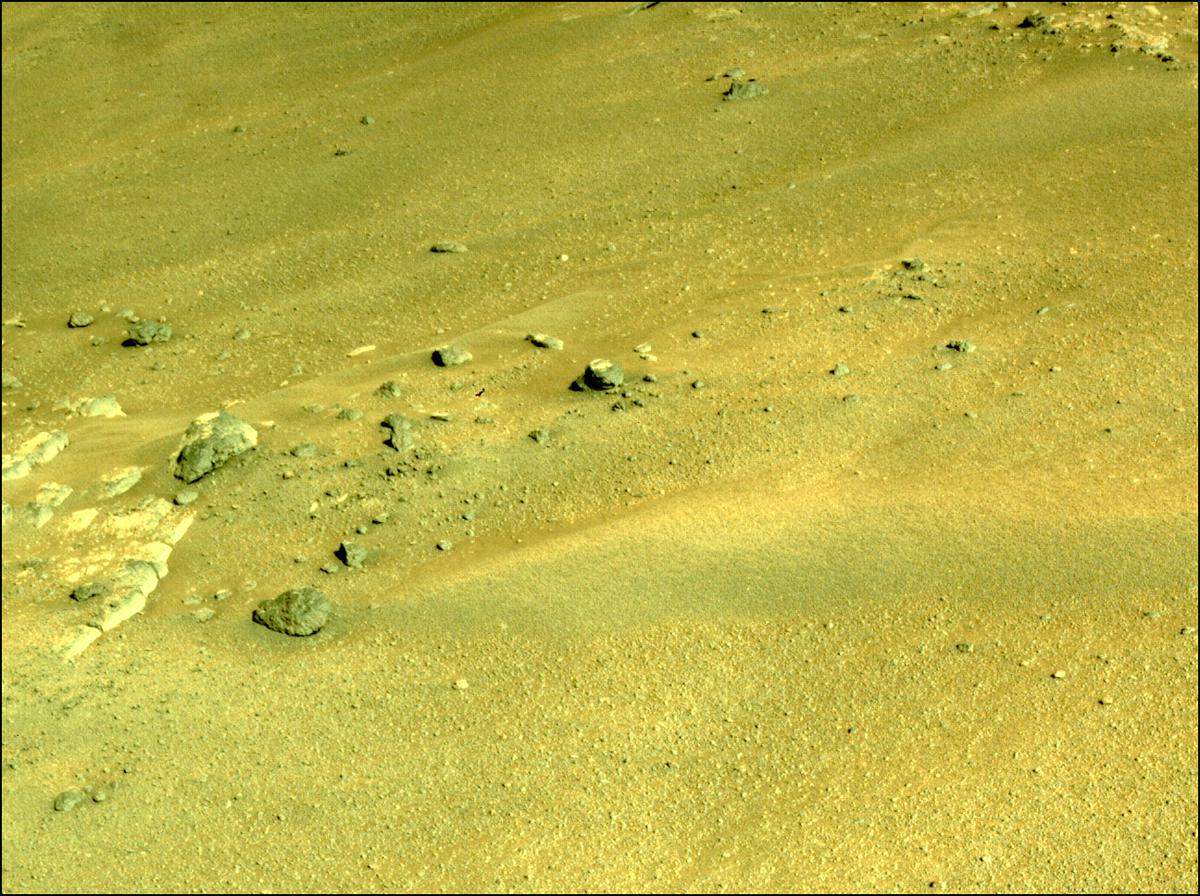 This image was taken by NAVCAM_LEFT onboard NASA's Mars rover Perseverance on Sol 173