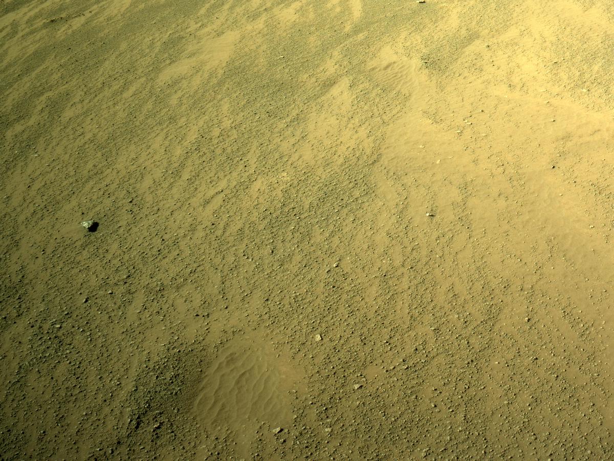 This image was taken by NAVCAM_LEFT onboard NASA's Mars rover Perseverance on Sol 173