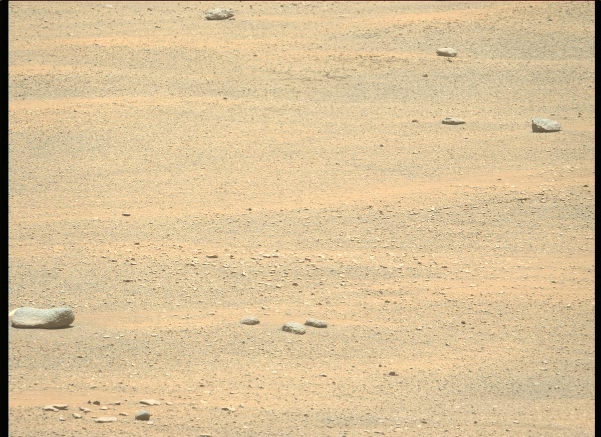This image was taken by MCZ_LEFT onboard NASA's Mars rover Perseverance on Sol 173