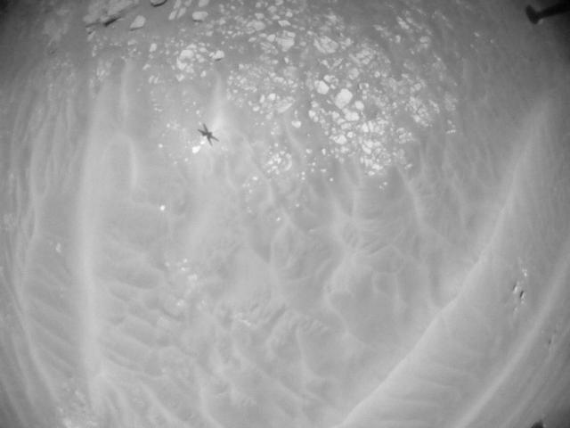 This image was taken by HELI_NAV onboard NASA's Mars rover Perseverance on Sol 174