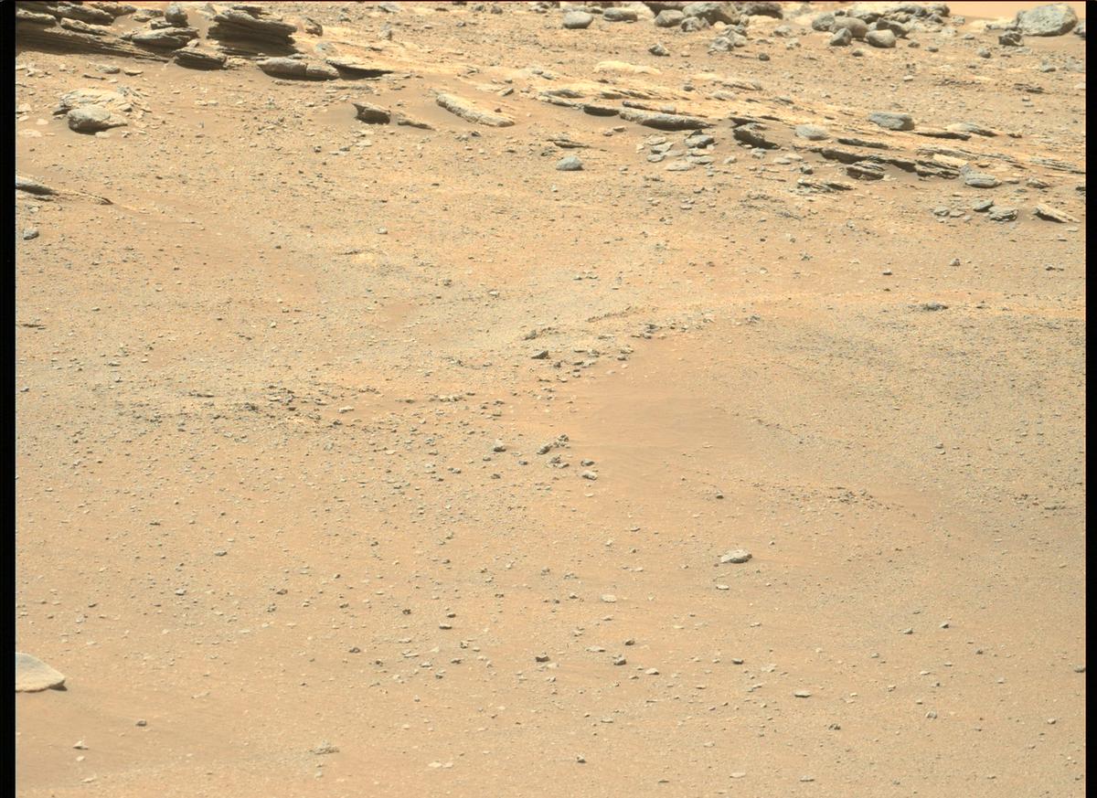 This image was taken by MCZ_LEFT onboard NASA's Mars rover Perseverance on Sol 174