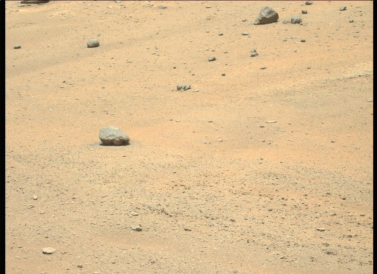 This image was taken by MCZ_LEFT onboard NASA's Mars rover Perseverance on Sol 174