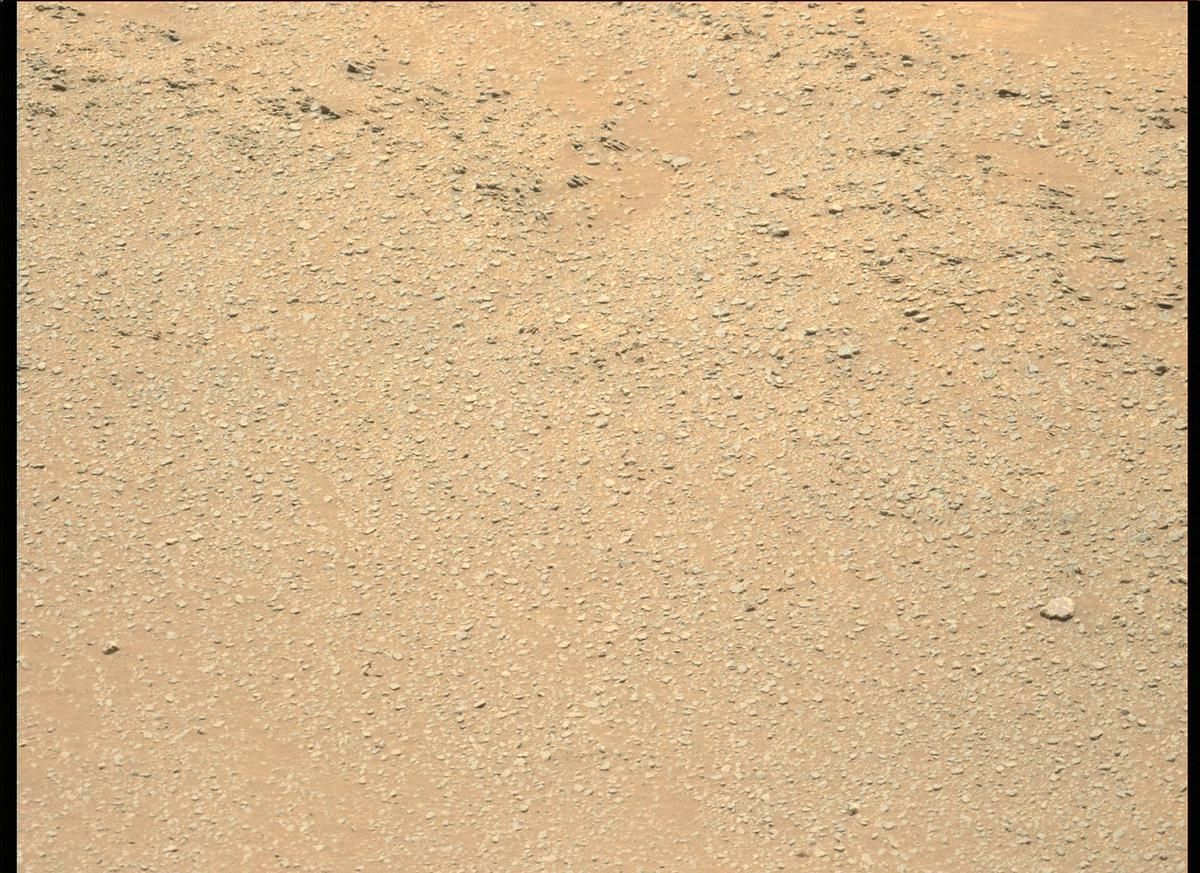 This image was taken by MCZ_LEFT onboard NASA's Mars rover Perseverance on Sol 174