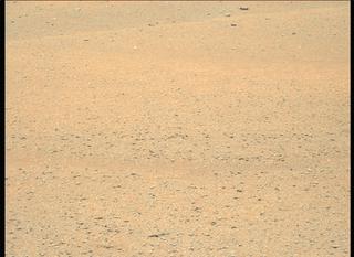 View image taken on Mars, Mars Perseverance Sol 174: Left Mastcam-Z Camera
