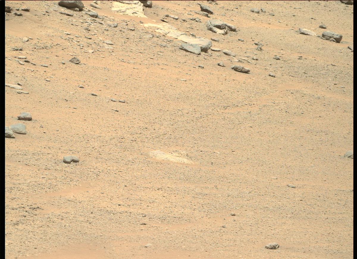 This image was taken by MCZ_RIGHT onboard NASA's Mars rover Perseverance on Sol 174