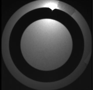 View image taken on Mars, Mars Perseverance Sol 175: SkyCam Camera 