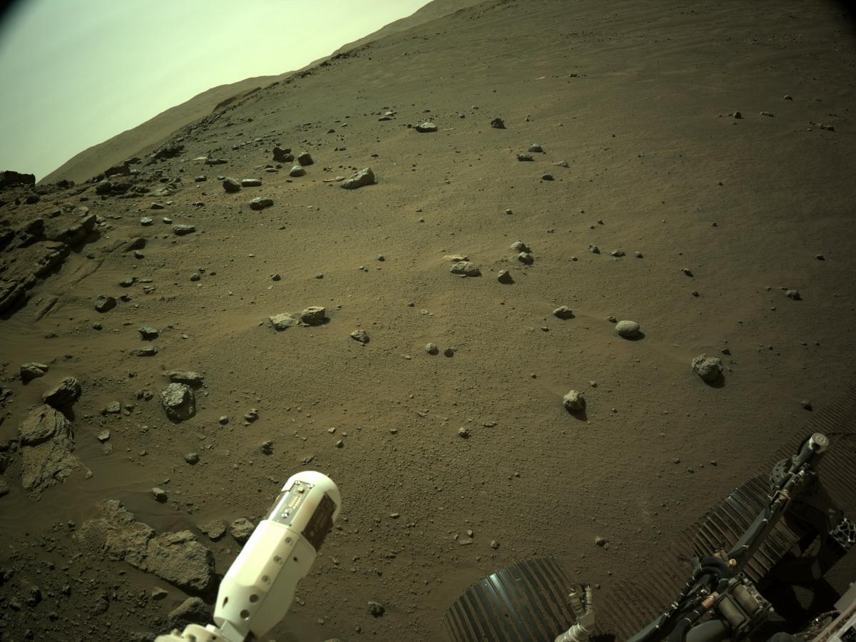 This image was taken by NAVCAM_RIGHT onboard NASA's Mars rover Perseverance on Sol 175