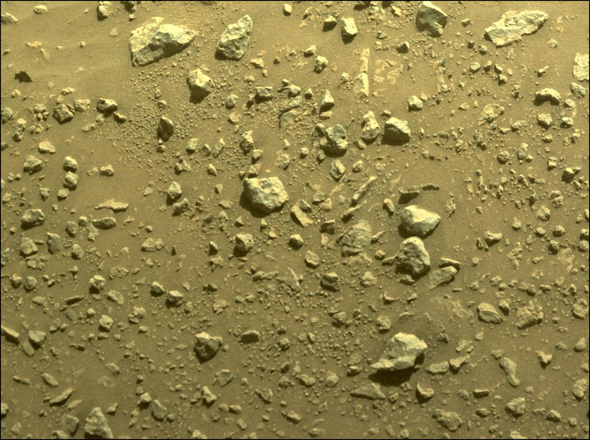This image was taken by FRONT_HAZCAM_LEFT_A onboard NASA's Mars rover Perseverance on Sol 180