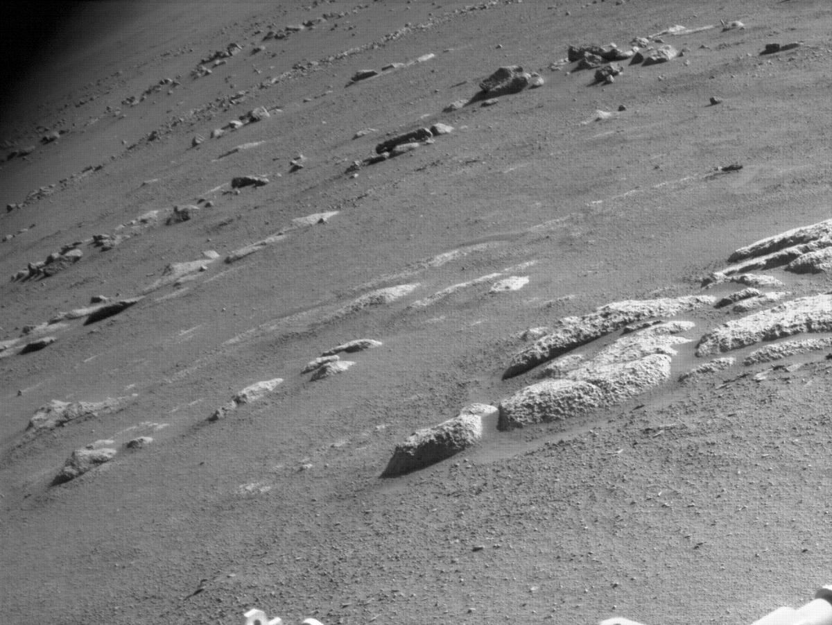 This image was taken by NAVCAM_LEFT onboard NASA's Mars rover Perseverance on Sol 180