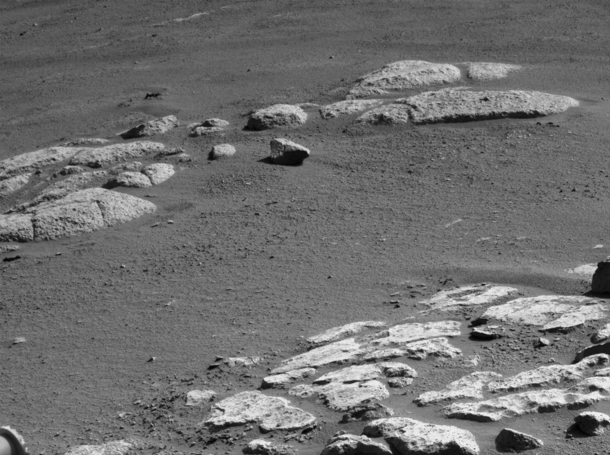 This image was taken by NAVCAM_LEFT onboard NASA's Mars rover Perseverance on Sol 180