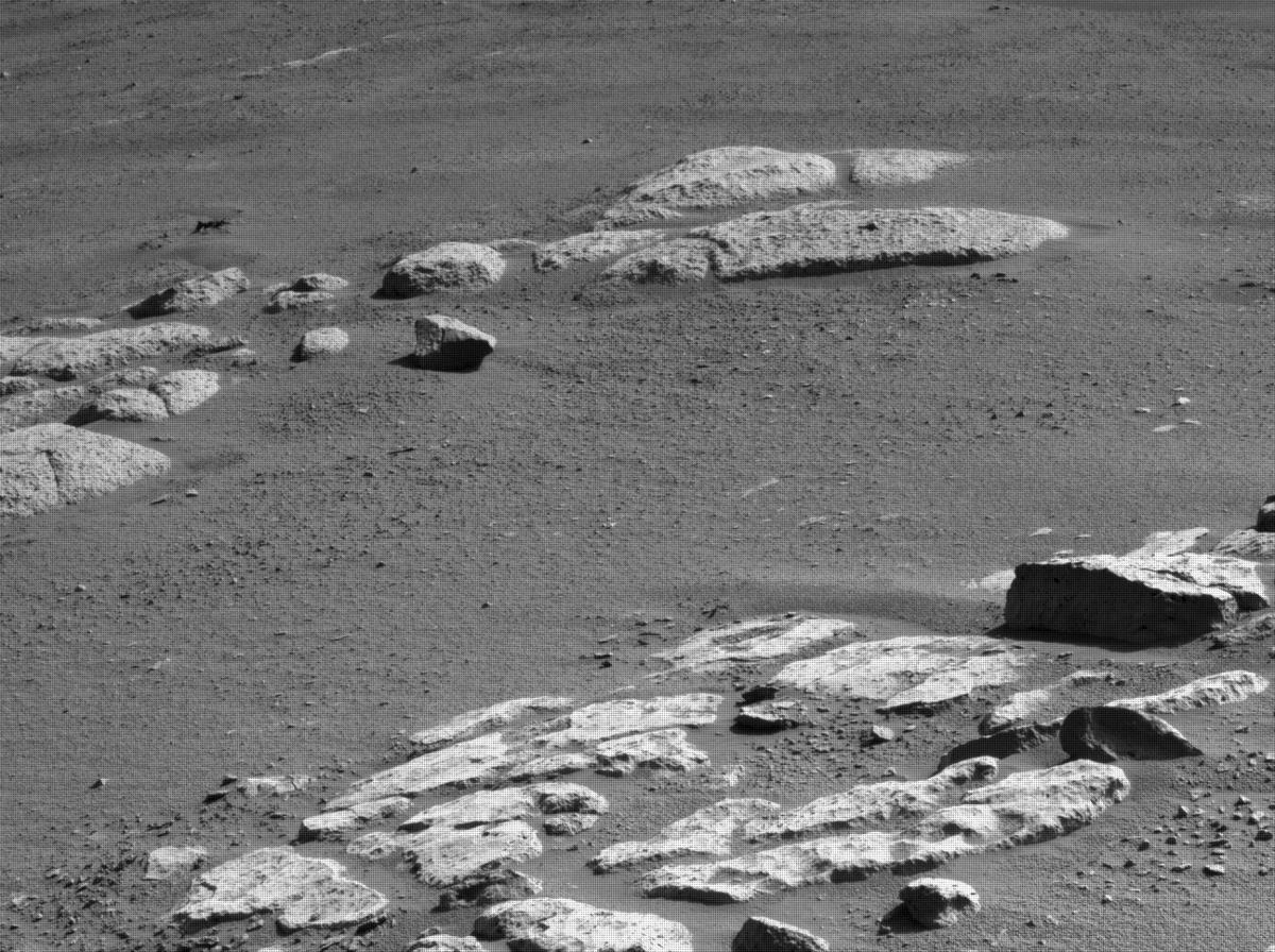 This image was taken by NAVCAM_RIGHT onboard NASA's Mars rover Perseverance on Sol 180