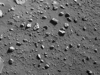 View image taken on Mars, Mars Perseverance Sol 180: Right Navigation Camera (Navcam)