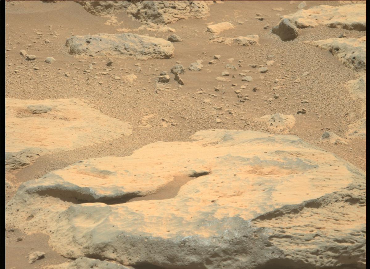 This image was taken by MCZ_LEFT onboard NASA's Mars rover Perseverance on Sol 180