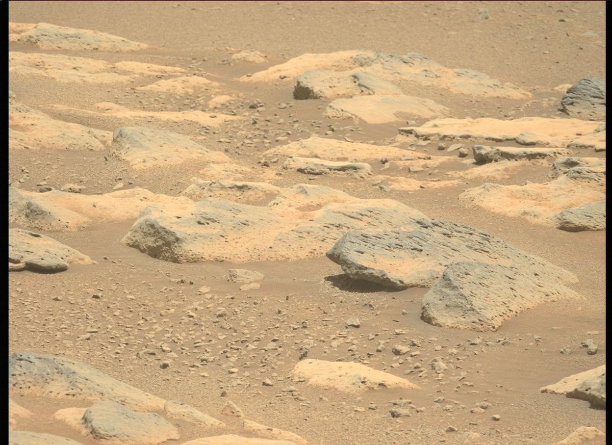 This image was taken by MCZ_LEFT onboard NASA's Mars rover Perseverance on Sol 180