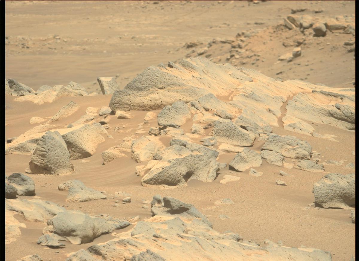 This image was taken by MCZ_LEFT onboard NASA's Mars rover Perseverance on Sol 180