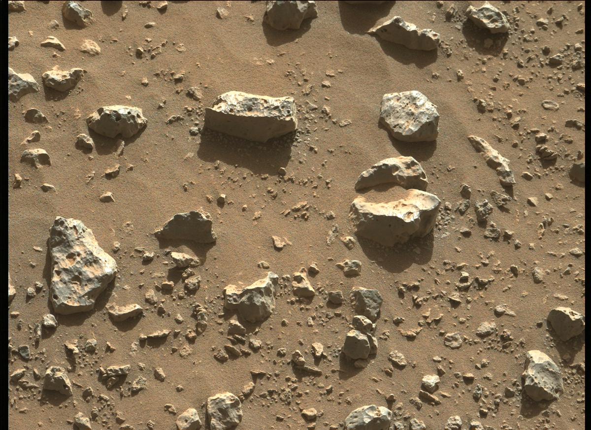 This image was taken by MCZ_LEFT onboard NASA's Mars rover Perseverance on Sol 180