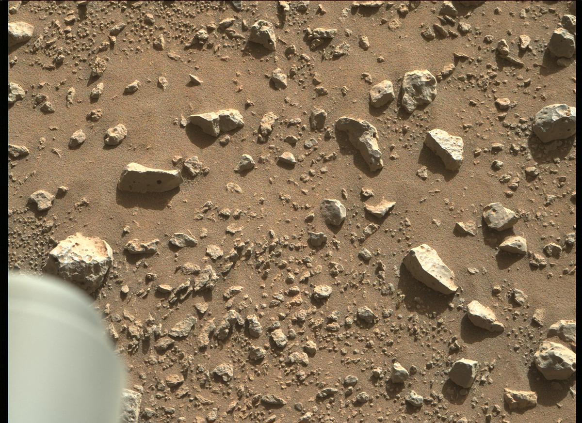 This image was taken by MCZ_RIGHT onboard NASA's Mars rover Perseverance on Sol 180