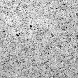 View image taken on Mars, Mars Perseverance Sol 181: SHERLOC ACI Camera 