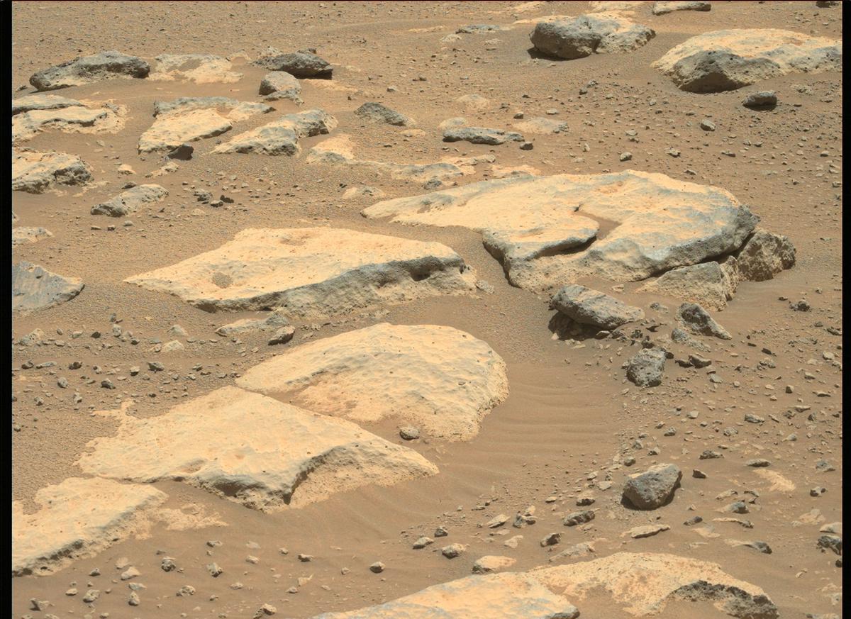 This image was taken by MCZ_LEFT onboard NASA's Mars rover Perseverance on Sol 181