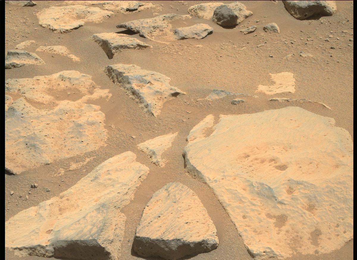 This image was taken by MCZ_RIGHT onboard NASA's Mars rover Perseverance on Sol 181