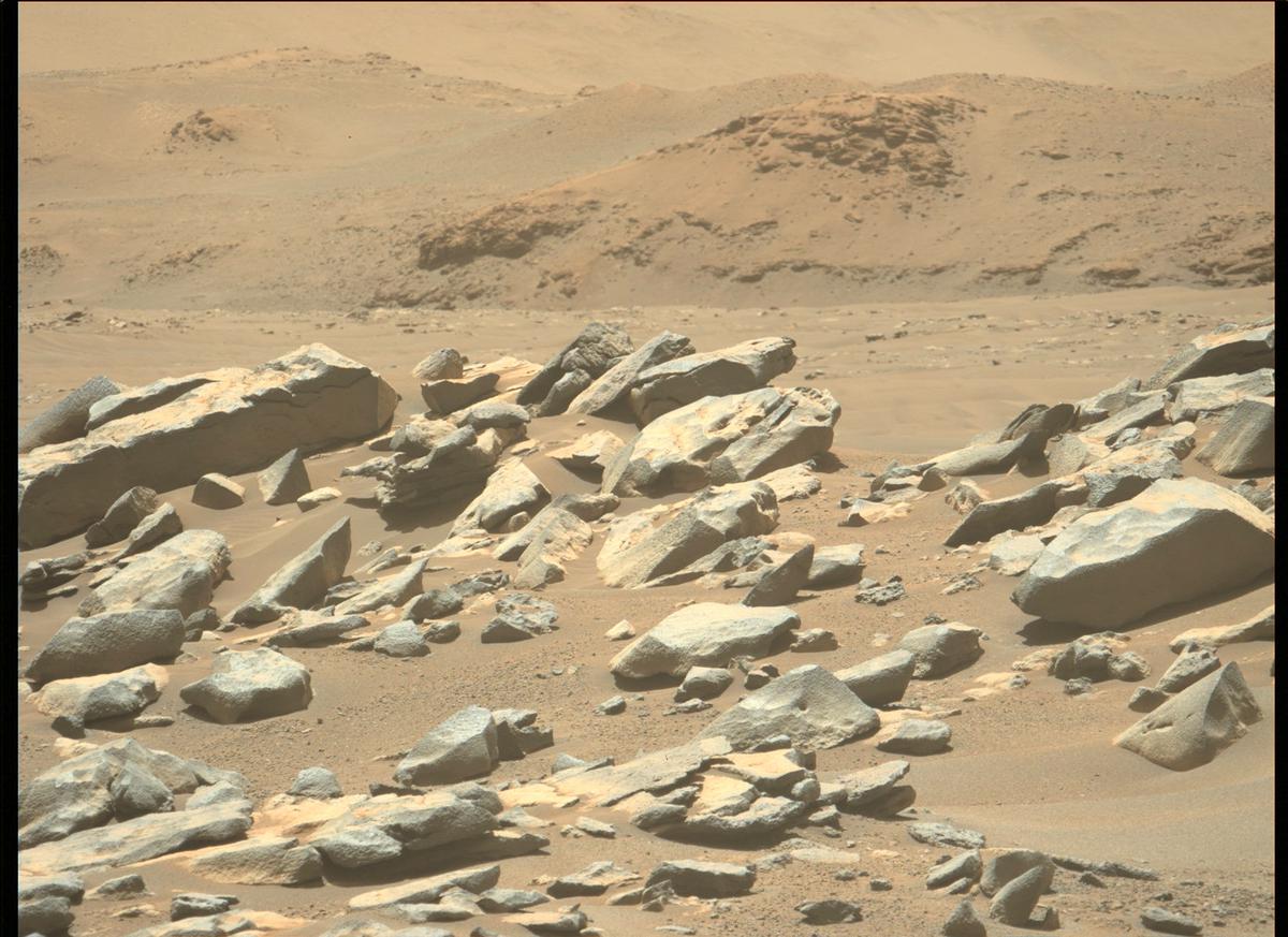 This image was taken by MCZ_LEFT onboard NASA's Mars rover Perseverance on Sol 184