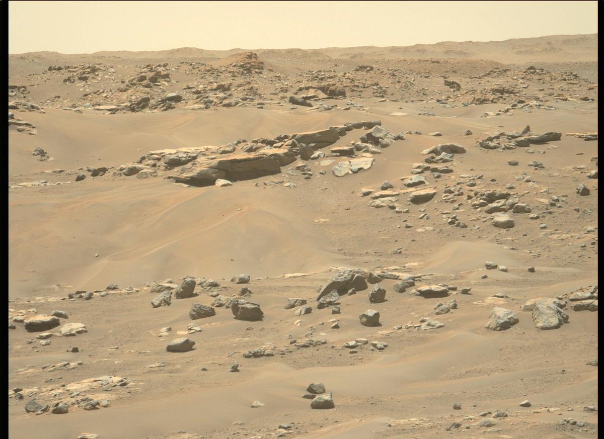 This image was taken by MCZ_LEFT onboard NASA's Mars rover Perseverance on Sol 184