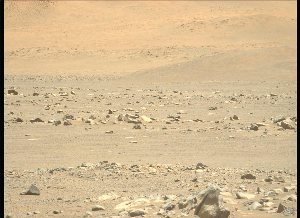 This image was taken by MCZ_LEFT onboard NASA's Mars rover Perseverance on Sol 184
