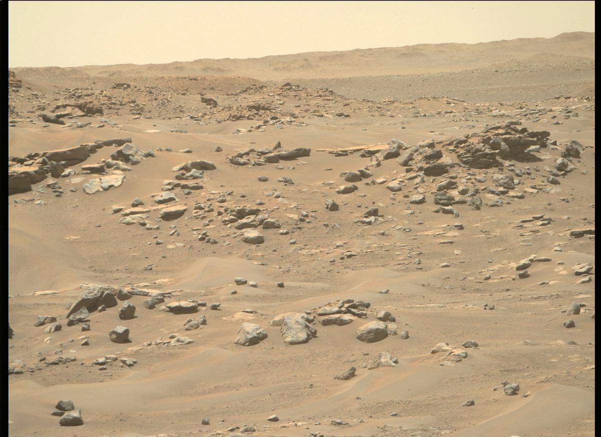This image was taken by MCZ_RIGHT onboard NASA's Mars rover Perseverance on Sol 184