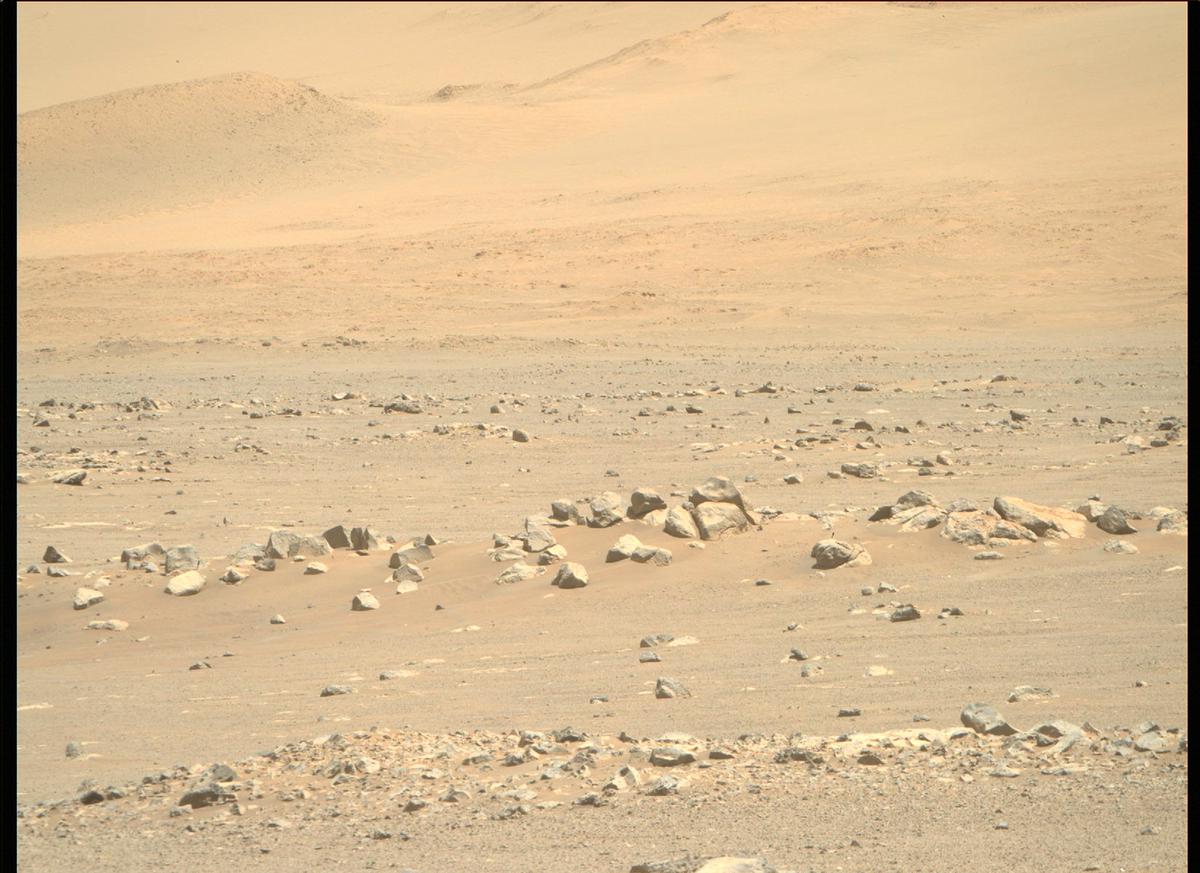 This image was taken by MCZ_RIGHT onboard NASA's Mars rover Perseverance on Sol 184
