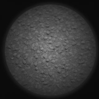 View image taken on Mars, Mars Perseverance Sol 185: SuperCam Camera