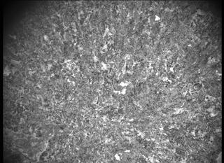 View image taken on Mars, Mars Perseverance Sol 186: SHERLOC ACI Camera 