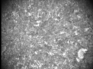 View image taken on Mars, Mars Perseverance Sol 186: SHERLOC ACI Camera 