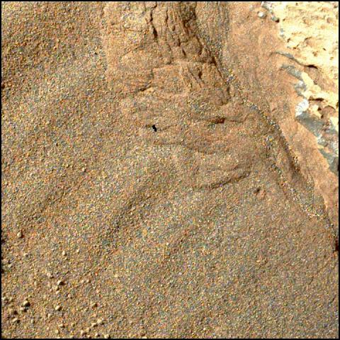 This image was taken by SHERLOC_WATSON onboard NASA's Mars rover Perseverance on Sol 186