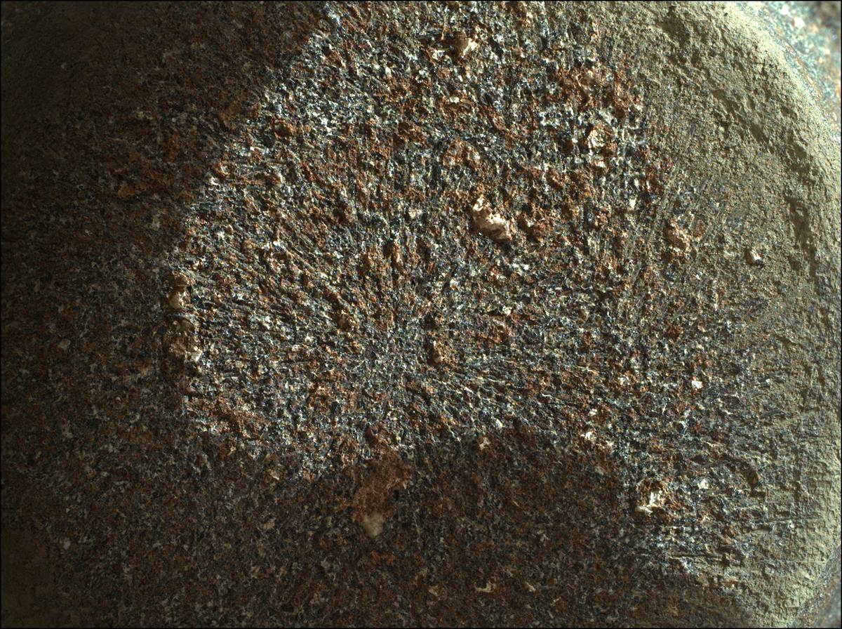 This image was taken by SHERLOC_WATSON onboard NASA's Mars rover Perseverance on Sol 186