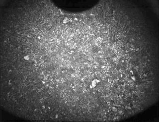 View image taken on Mars, Mars Perseverance Sol 187: PIXL Camera 