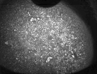 View image taken on Mars, Mars Perseverance Sol 187: PIXL Camera 