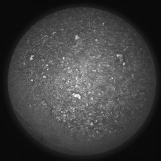 View image taken on Mars, Mars Perseverance Sol 187: SuperCam Camera