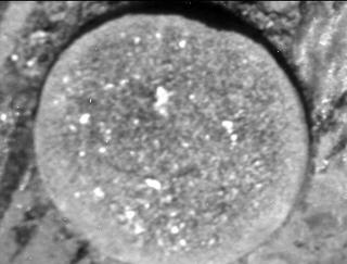 View image taken on Mars, Mars Perseverance Sol 187: Right Mastcam-Z Camera