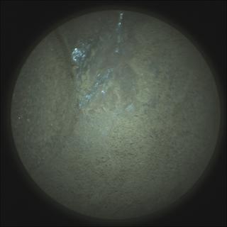 View image taken on Mars, Mars Perseverance Sol 189: SuperCam Camera
