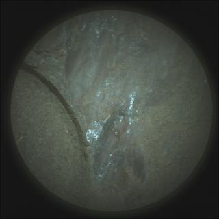 View image taken on Mars, Mars Perseverance Sol 189: SuperCam Camera