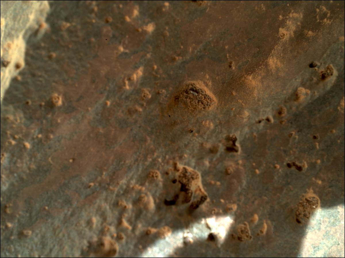 This image was taken by SHERLOC_WATSON onboard NASA's Mars rover Perseverance on Sol 195