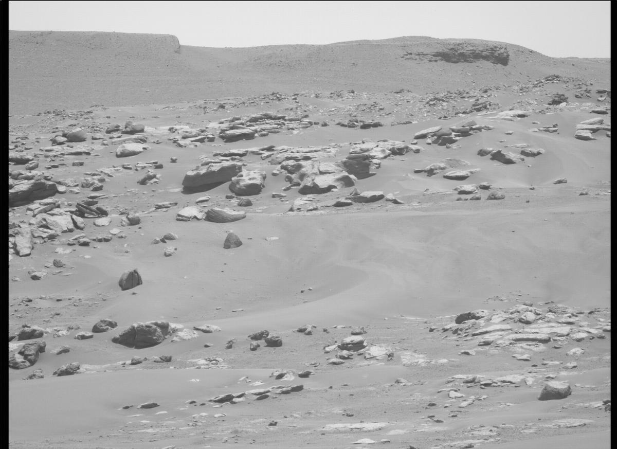 This image was taken by MCZ_LEFT onboard NASA's Mars rover Perseverance on Sol 199