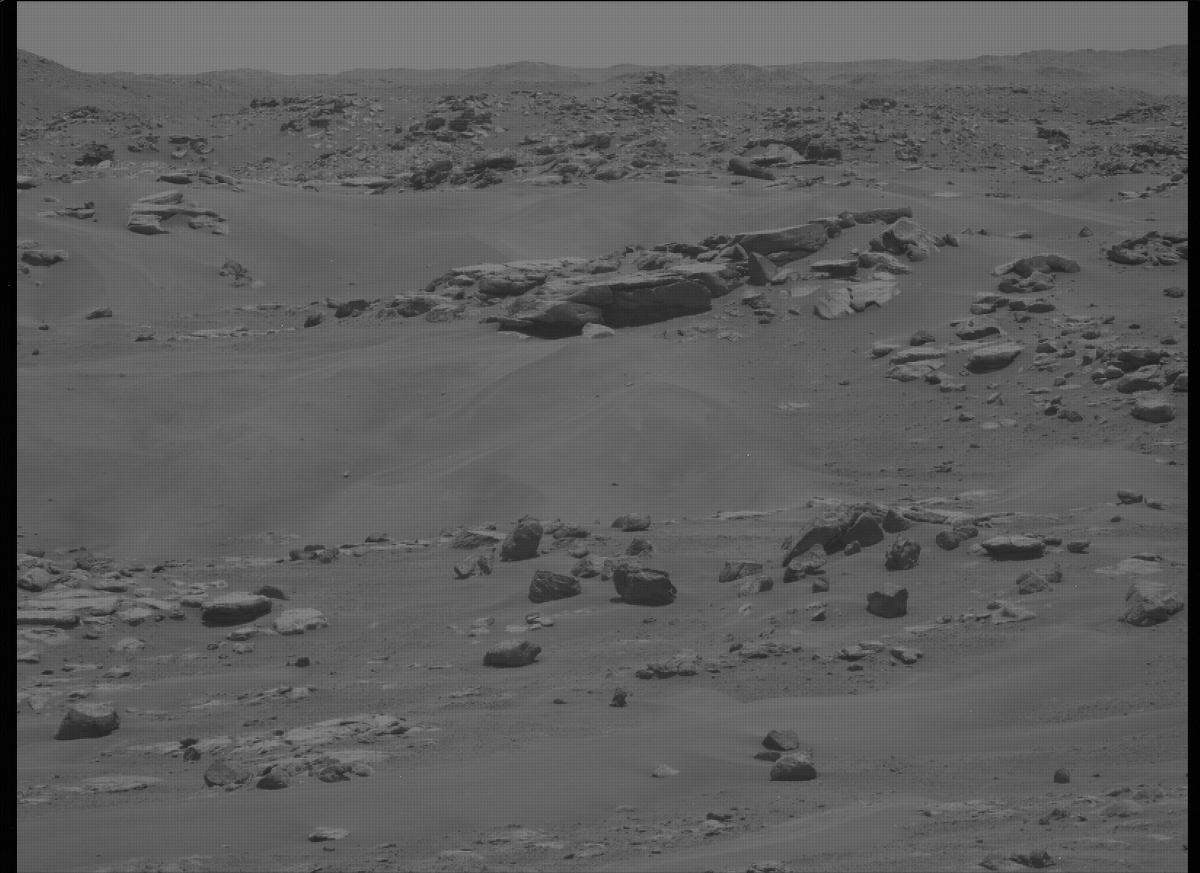 This image was taken by MCZ_LEFT onboard NASA's Mars rover Perseverance on Sol 199